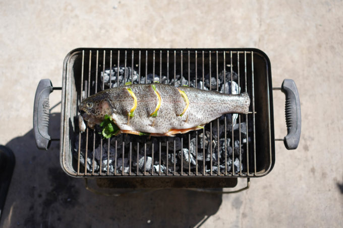 fish on charcoal grill